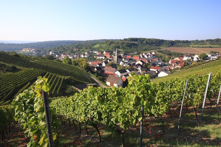 Das Weindorf Beckstein bei Lauda-Königshofen liegt inmitten der Weinberge des Taubertals